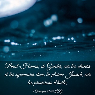Picture 03 - 1 Chroniques 27:28 LSG - Baal-Hanan, de Guéder, sur les oliviers et les - Bible Verse Picture