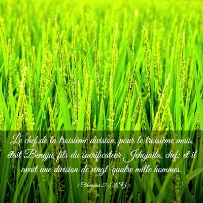 Picture 03 - 1 Chroniques 27:5 LSG - Le chef de la troisième division, pour le - Bible Verse Picture