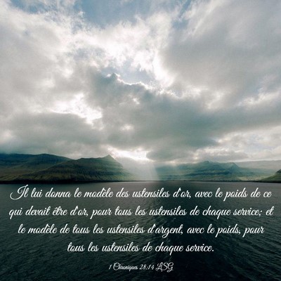 Picture 03 - 1 Chroniques 28:14 LSG - Il lui donna le modèle des ustensiles d'or, avec - Bible Verse Picture