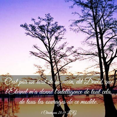Picture 03 - 1 Chroniques 28:19 LSG - C'est par un écrit de sa main, dit David, que - Bible Verse Picture