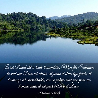 Picture 03 - 1 Chroniques 29:1 LSG - Le roi David dit à toute l'assemblée: Mon fils - Bible Verse Picture