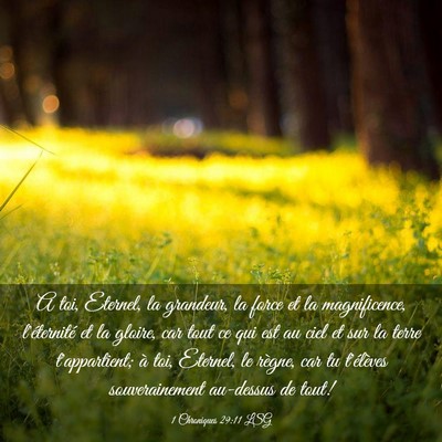 Picture 03 - 1 Chroniques 29:11 LSG - A toi, Eternel, la grandeur, la force et la - Bible Verse Picture