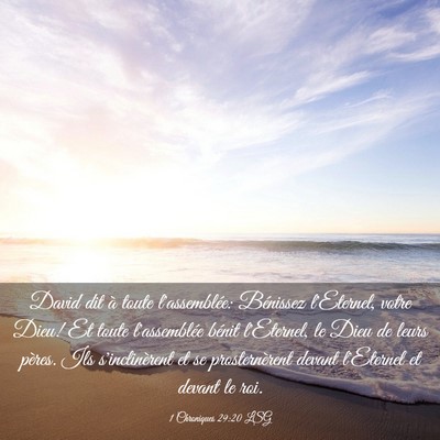 Picture 03 - 1 Chroniques 29:20 LSG - David dit à toute l'assemblée: Bénissez - Bible Verse Picture