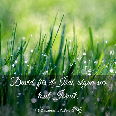 Picture 03 - 1 Chroniques 29:26 LSG - David, fils d'Isaï, régna sur tout - Bible Verse Picture