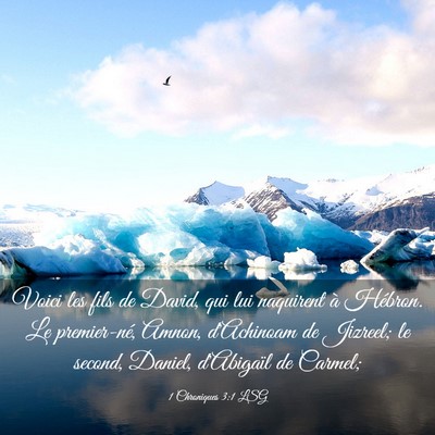 Picture 03 - 1 Chroniques 3:1 LSG - Voici les fils de David, qui lui naquirent à - Bible Verse Picture