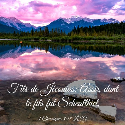 Picture 03 - 1 Chroniques 3:17 LSG - Fils de Jéconias: Assir, dont le fils fut - Bible Verse Picture