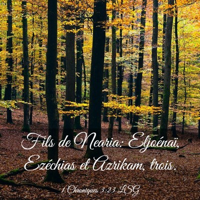 Picture 03 - 1 Chroniques 3:23 LSG - Fils de Nearia: Eljoénaï, Ezéchias et Azrikam, - Bible Verse Picture