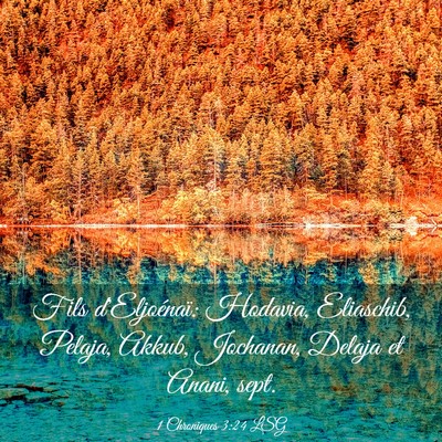 Picture 03 - 1 Chroniques 3:24 LSG - Fils d'Eljoénaï: Hodavia, Eliaschib, Pelaja, - Bible Verse Picture