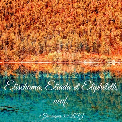 Picture 03 - 1 Chroniques 3:8 LSG - Elischama, Eliada et Eliphéleth, - Bible Verse Picture