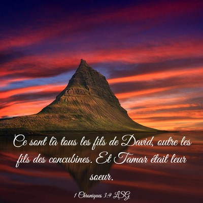 Picture 03 - 1 Chroniques 3:9 LSG - Ce sont là tous les fils de David, outre les - Bible Verse Picture
