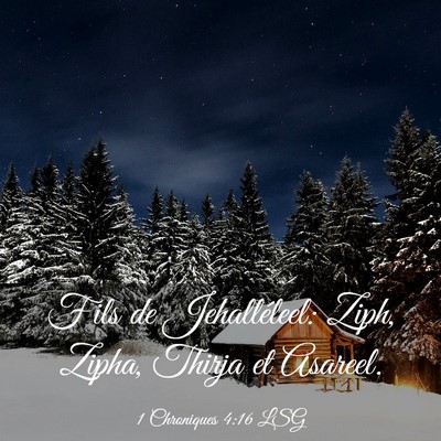Picture 03 - 1 Chroniques 4:16 LSG - Fils de Jehalléleel: Ziph, Zipha, Thirja et - Bible Verse Picture