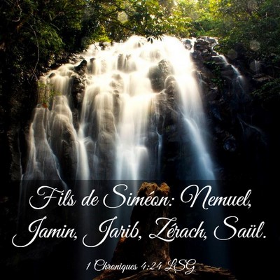 Picture 03 - 1 Chroniques 4:24 LSG - Fils de Siméon: Nemuel, Jamin, Jarib, Zérach, - Bible Verse Picture