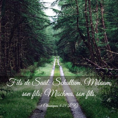 Picture 03 - 1 Chroniques 4:25 LSG - Fils de Saül: Schallum. Mibsam, son fils; - Bible Verse Picture
