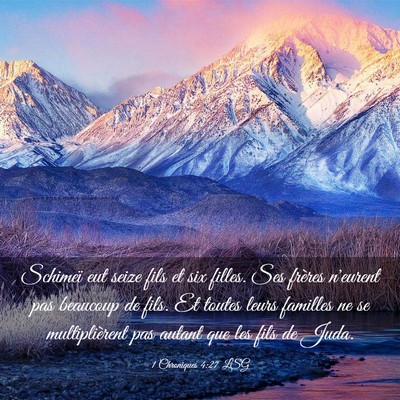Picture 03 - 1 Chroniques 4:27 LSG - Schimeï eut seize fils et six filles. Ses - Bible Verse Picture