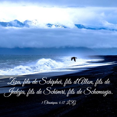 Picture 03 - 1 Chroniques 4:37 LSG - Ziza, fils de Schipheï, fils d'Allon, fils de - Bible Verse Picture