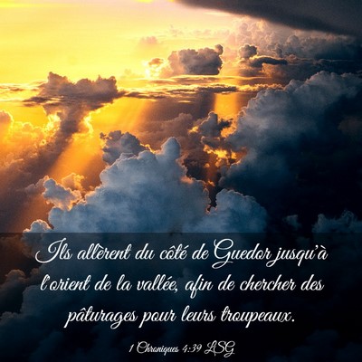 Picture 03 - 1 Chroniques 4:39 LSG - Ils allèrent du côté de Guedor jusqu'à - Bible Verse Picture