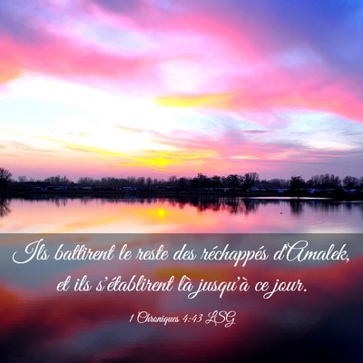 Picture 03 - 1 Chroniques 4:43 LSG - Ils battirent le reste des réchappés d'Amalek, - Bible Verse Picture