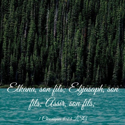 Picture 03 - 1 Chroniques 6:23 LSG - Elkana, son fils; Ebjasaph, son fils; Assir, son - Bible Verse Picture