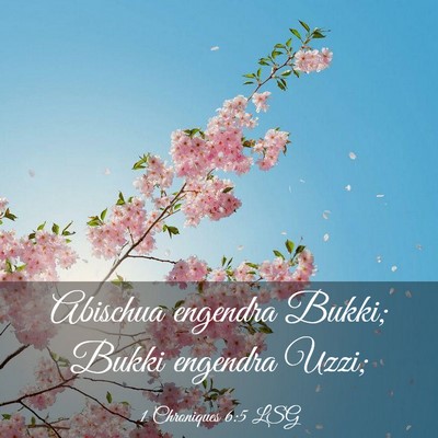 Picture 03 - 1 Chroniques 6:5 LSG - Abischua engendra Bukki; Bukki engendra - Bible Verse Picture