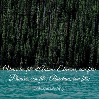 Picture 03 - 1 Chroniques 6:50 LSG - Voici les fils d'Aaron: Eléazar, son fils; - Bible Verse Picture