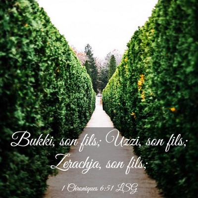 Picture 03 - 1 Chroniques 6:51 LSG - Bukki, son fils; Uzzi, son fils; Zerachja, son - Bible Verse Picture