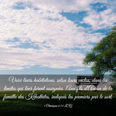Picture 03 - 1 Chroniques 6:54 LSG - Voici leurs habitations, selon leurs enclos, dans - Bible Verse Picture