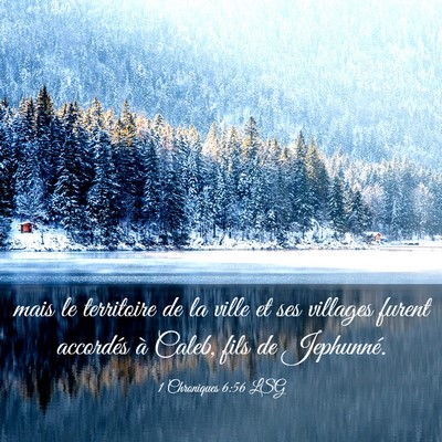 Picture 03 - 1 Chroniques 6:56 LSG - mais le territoire de la ville et ses villages - Bible Verse Picture