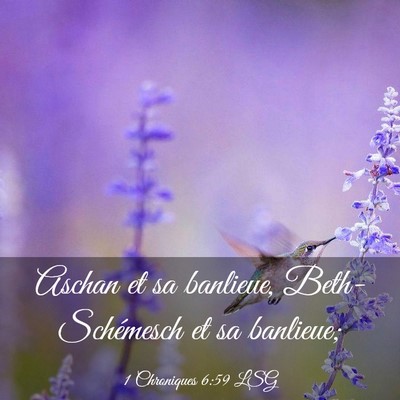 Picture 03 - 1 Chroniques 6:59 LSG - Aschan et sa banlieue, Beth-Schémesch et sa - Bible Verse Picture