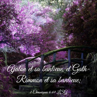 Picture 03 - 1 Chroniques 6:69 LSG - Ajalon et sa banlieue, et Gath-Rimmon et sa - Bible Verse Picture