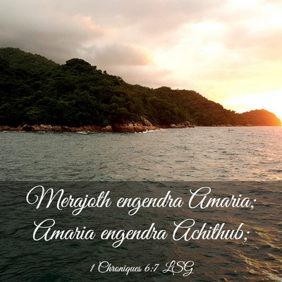 Picture 03 - 1 Chroniques 6:7 LSG - Merajoth engendra Amaria; Amaria engendra - Bible Verse Picture