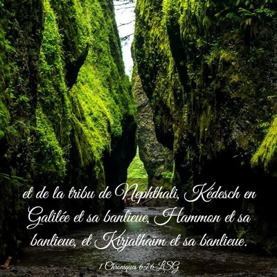 Picture 03 - 1 Chroniques 6:76 LSG - et de la tribu de Nephthali, Kédesch en Galilée - Bible Verse Picture