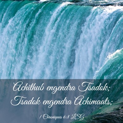 Picture 03 - 1 Chroniques 6:8 LSG - Achithub engendra Tsadok; Tsadok engendra - Bible Verse Picture