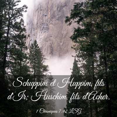 Picture 03 - 1 Chroniques 7:12 LSG - Schuppim et Huppim, fils d'Ir; Huschim, fils - Bible Verse Picture
