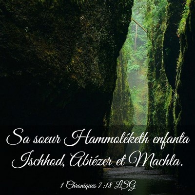 Picture 03 - 1 Chroniques 7:18 LSG - Sa soeur Hammoléketh enfanta Ischhod, Abiézer - Bible Verse Picture