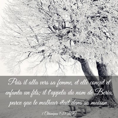 Picture 03 - 1 Chroniques 7:23 LSG - Puis il alla vers sa femme, et elle conçut et - Bible Verse Picture