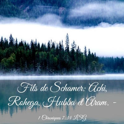 Picture 03 - 1 Chroniques 7:34 LSG - Fils de Schamer: Achi, Rohega, Hubba et Aram. - Bible Verse Picture
