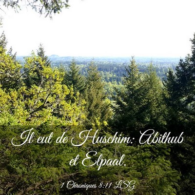 Picture 03 - 1 Chroniques 8:11 LSG - Il eut de Huschim: Abithub et - Bible Verse Picture