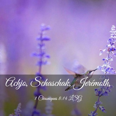 Picture 03 - 1 Chroniques 8:14 LSG - Achjo, Schaschak, - Bible Verse Picture
