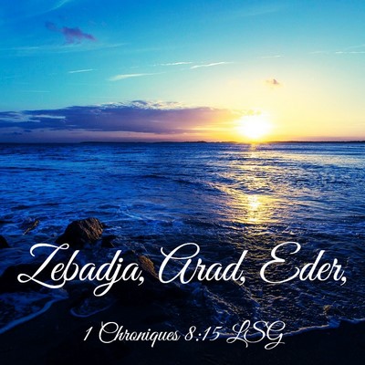 Picture 03 - 1 Chroniques 8:15 LSG - Zebadja, Arad, - Bible Verse Picture