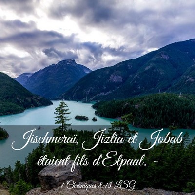 Picture 03 - 1 Chroniques 8:18 LSG - Jischmeraï, Jizlia et Jobab étaient fils - Bible Verse Picture