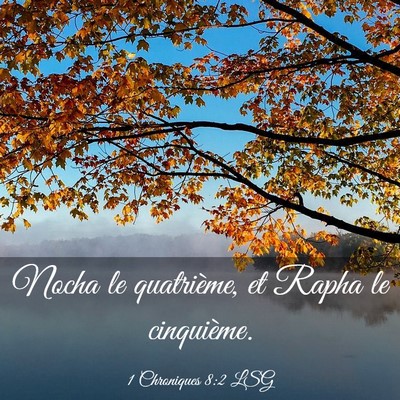 Picture 03 - 1 Chroniques 8:2 LSG - Nocha le quatrième, et Rapha le - Bible Verse Picture