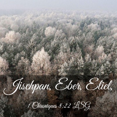 Picture 03 - 1 Chroniques 8:22 LSG - Jischpan, Eber, - Bible Verse Picture