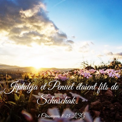 Picture 03 - 1 Chroniques 8:25 LSG - Jiphdeja et Penuel étaient fils de Schaschak. - Bible Verse Picture