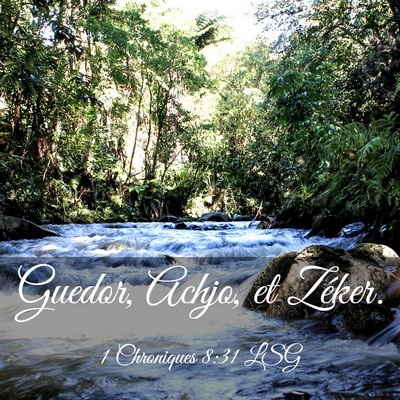 Picture 03 - 1 Chroniques 8:31 LSG - Guedor, Achjo, et - Bible Verse Picture