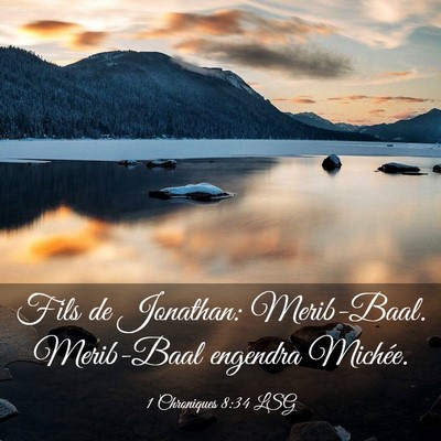 Picture 03 - 1 Chroniques 8:34 LSG - Fils de Jonathan: Merib-Baal. Merib-Baal engendra - Bible Verse Picture