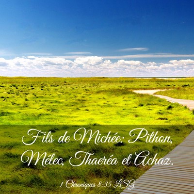 Picture 03 - 1 Chroniques 8:35 LSG - Fils de Michée: Pithon, Mélec, Thaeréa et - Bible Verse Picture