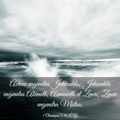 Picture 03 - 1 Chroniques 8:36 LSG - Achaz engendra Jehoadda; Jehoadda engendra - Bible Verse Picture