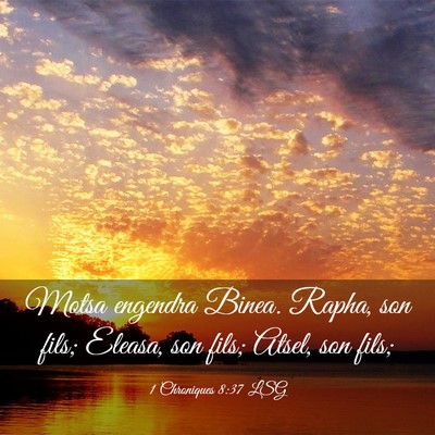 Picture 03 - 1 Chroniques 8:37 LSG - Motsa engendra Binea. Rapha, son fils; Eleasa, - Bible Verse Picture