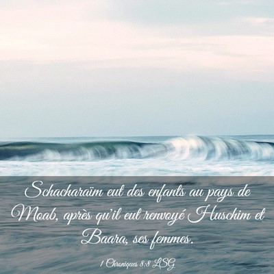 Picture 03 - 1 Chroniques 8:8 LSG - Schacharaïm eut des enfants au pays de Moab, - Bible Verse Picture