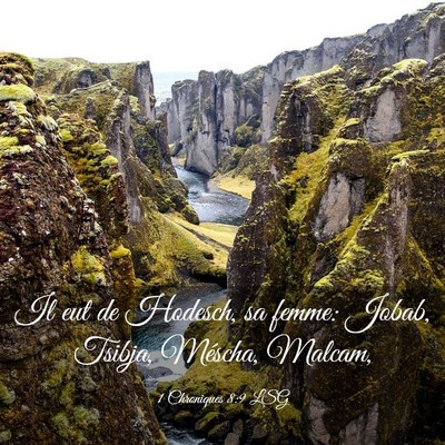 Picture 03 - 1 Chroniques 8:9 LSG - Il eut de Hodesch, sa femme: Jobab, Tsibja, - Bible Verse Picture